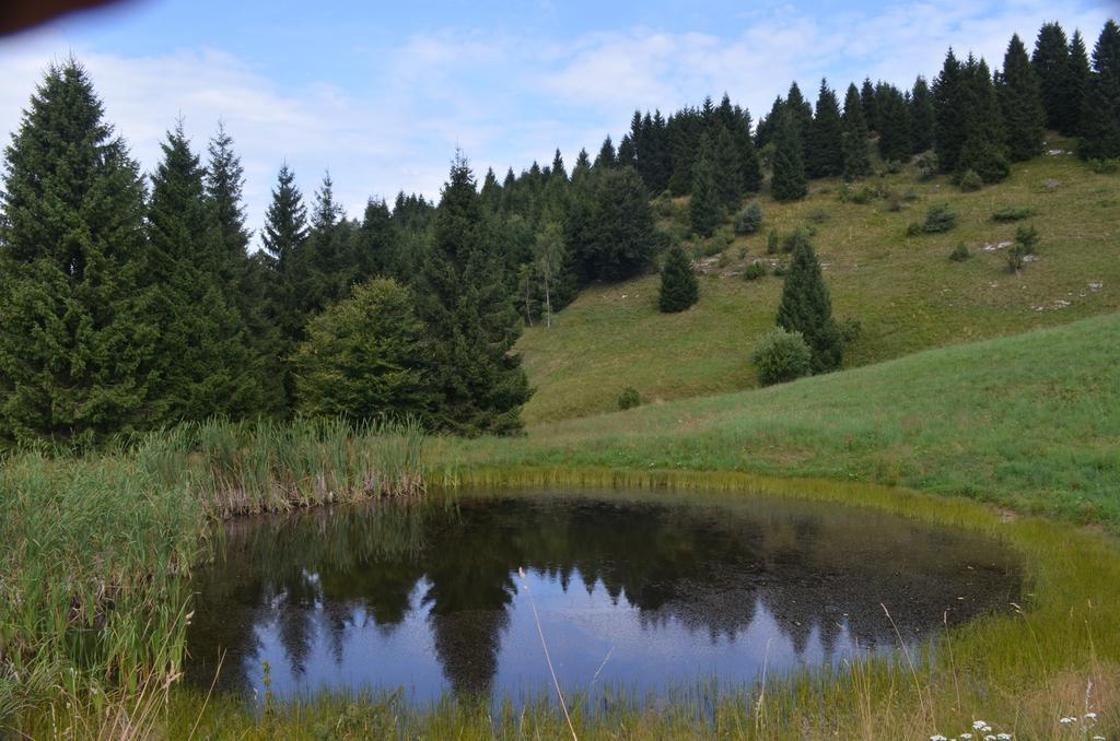 Rifugio Pranolz Gasthof *