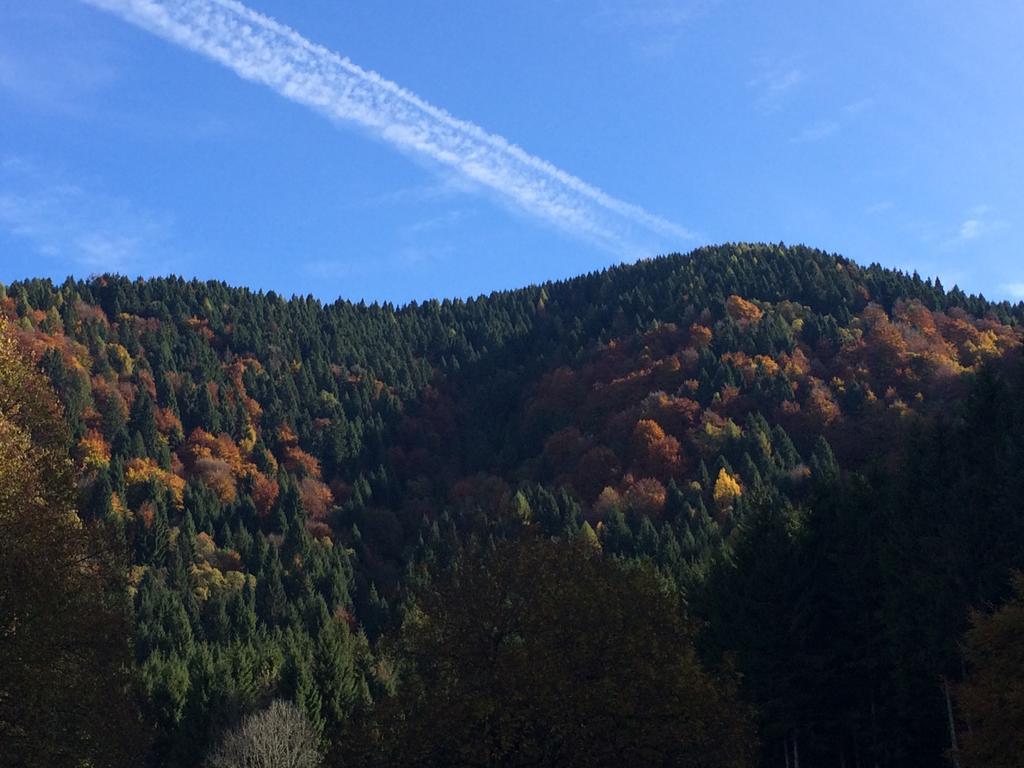 Rifugio Pranolz *